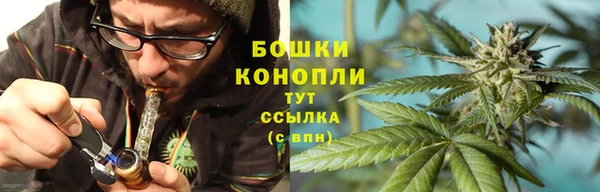 бошки Верхний Тагил