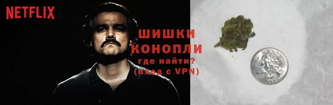 тгк Верея
