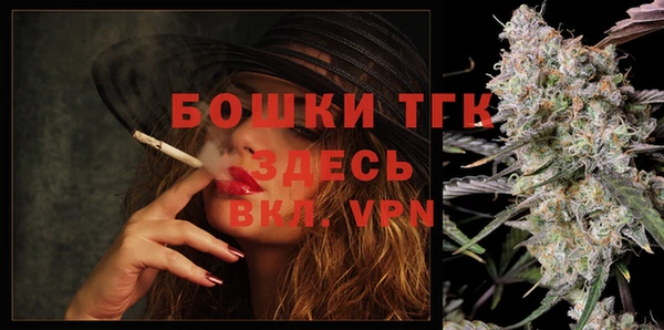 бошки Верхний Тагил