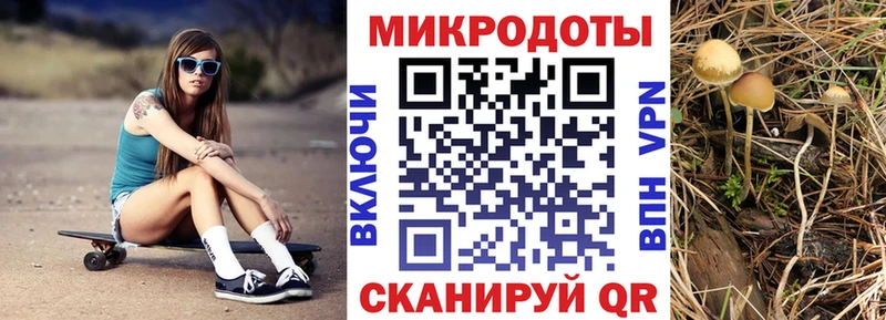Псилоцибиновые грибы Magic Shrooms  где можно купить   Весьегонск 